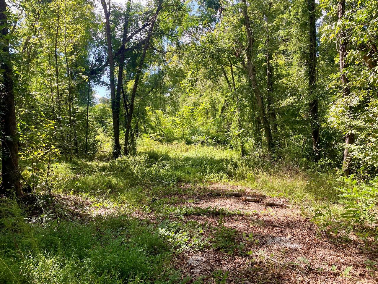 0 Danburg Road - Photo 1