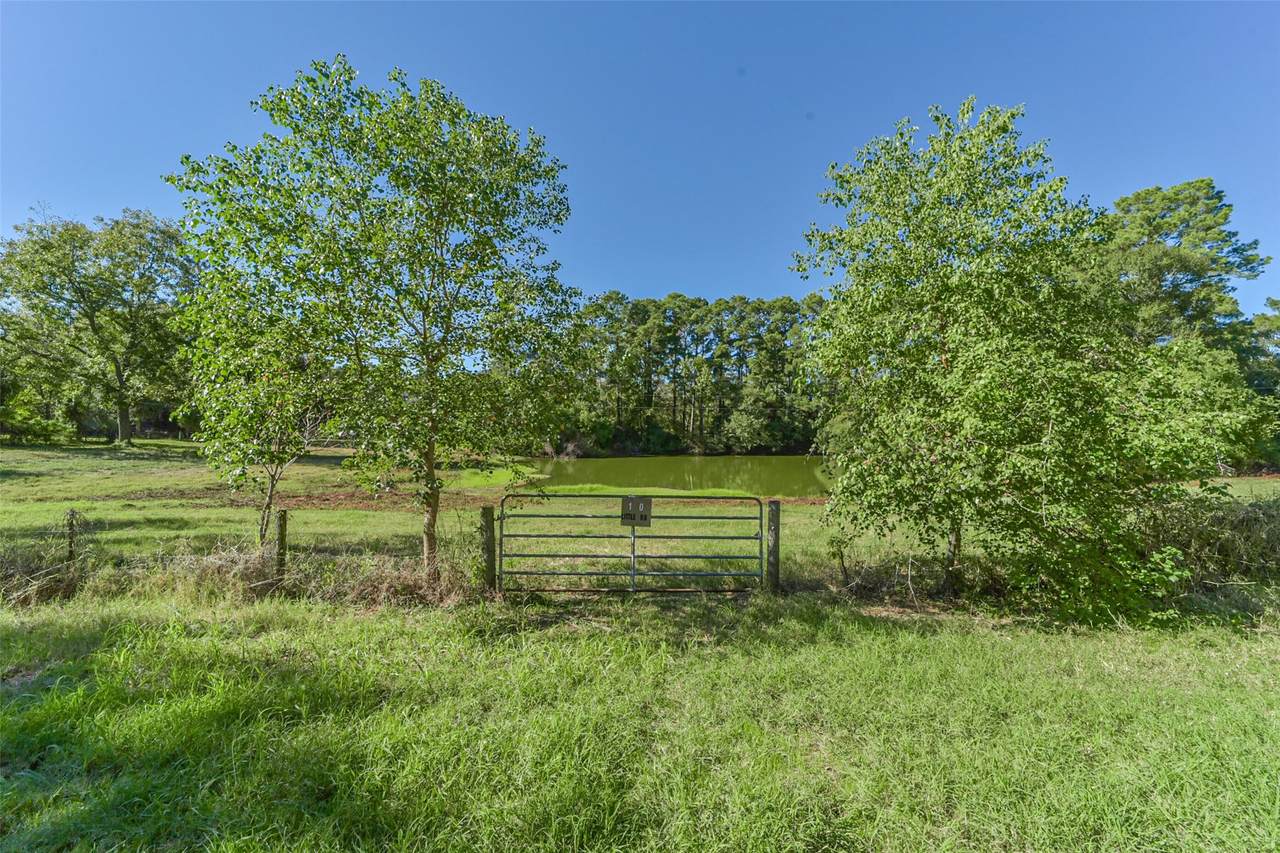 140 Little Road Loop - Photo 1