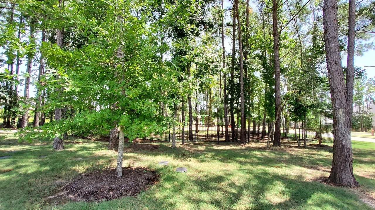 305 Rise Lane - Photo 1