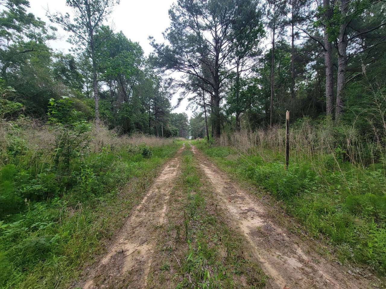 tbd Hardy Rd - Photo 1