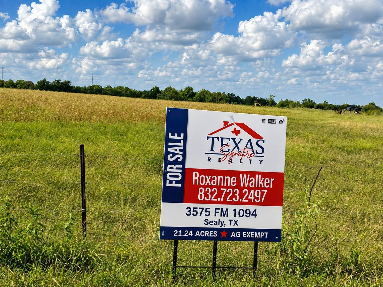 3575 Fm 1094 Road - Photo 1