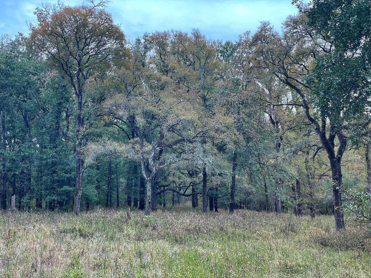 000 Fm-247 - Photo 1