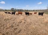 NA Kickapoo Road - Photo 12