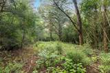 TBD Homestead Lane - Photo 1