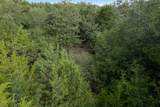 TBD Homestead Lane - Photo 10