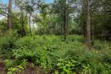 TBD Homestead Lane - Photo 11