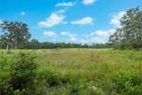 TBD Homestead Lane - Photo 6