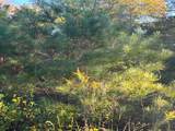 145 County Road 3479A - Photo 19