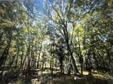 Lot 822 Eskimo Lane/ Path - Photo 2