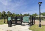 40347 Blossom Valley Lane - Photo 37