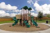 40347 Blossom Valley Lane - Photo 44