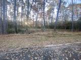 26721 Pecan Circle - Photo 5
