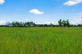 811 County Road 164 - Photo 16