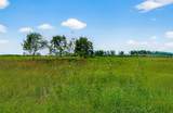 811 County Road 164 - Photo 18