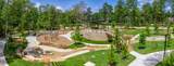 223 Nancy Lou Lane - Photo 12