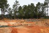 223 Nancy Lou Lane - Photo 4