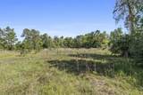 262 Fazio Way - Photo 28