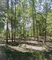 000 Sherwood Drive - Photo 3