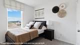 127 Peluce Place - Photo 25