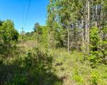 0 Old Houston Rd - Photo 10