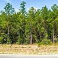 15645 Ridge Rock Road - Photo 2