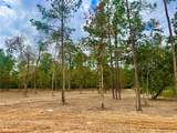 11766 Grand North Road - Photo 4