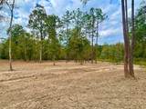 11766 Grand North Road - Photo 5