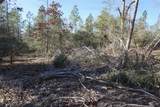 9301 Private Road 2851 Tract 2 - Photo 5
