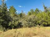 Lot 82 Lakeland Loop - Photo 10