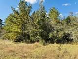 Lot 82 Lakeland Loop - Photo 4