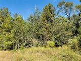 Lot 82 Lakeland Loop - Photo 5