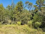 Lot 82 Lakeland Loop - Photo 6