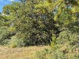 Lot 82 Lakeland Loop - Photo 7