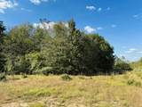 Lot 82 Lakeland Loop - Photo 9