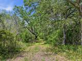 TBD County Road 405 - Photo 3