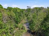 TBD County Road 405 - Photo 6