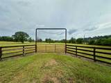 TBD Roy Webb Road Road - Photo 1