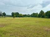 TBD Roy Webb Road Road - Photo 2
