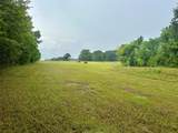 TBD Roy Webb Road Road - Photo 5