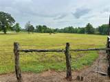 TBD Roy Webb Road Road - Photo 7