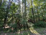 16 Forrest Hollow - Photo 3