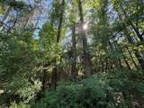 16 Forrest Hollow - Photo 5