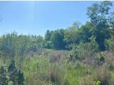 10.25 Acres Mustang Loop - Photo 19