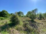 10.25 Acres Mustang Loop - Photo 23