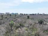1241 Highway 87 - Photo 5