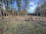 10499 County Road 701 - Photo 7
