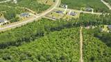 15977 Ridge Oak Road - Photo 12