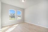 11123 Lulu Lane - Photo 17