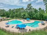 10026 Angelina Woods Lane - Photo 35