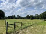 1666 Us Highway 84 - Photo 42
